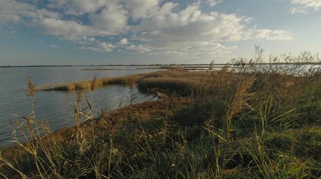 Una bella immagine del Parco del Delta