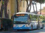 Una delle linee di autobus pubblici riminese, in questi giorni al centro di polemiche per l'atteggiamento dei controllori