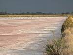 Saline di Cervia