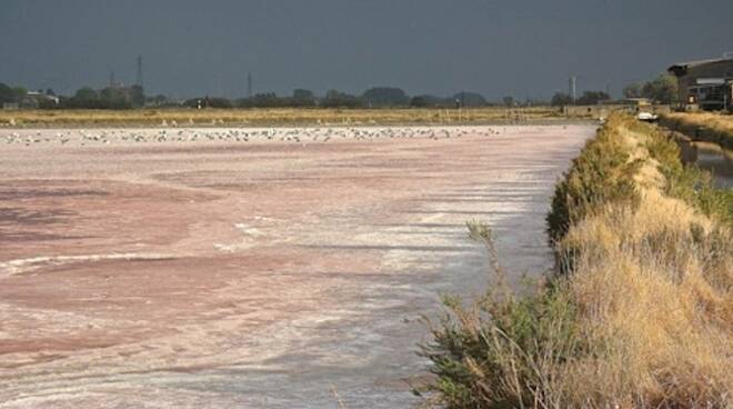 Saline di Cervia