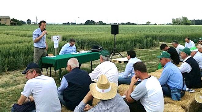 La "Giornata del Grano" del Consorzio Agrario di Ravenna