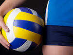 Volley