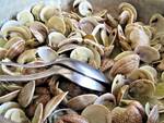 vongole