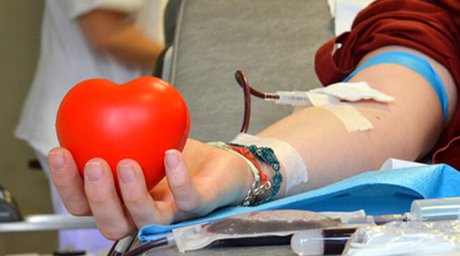 donazione sangue AVIS 