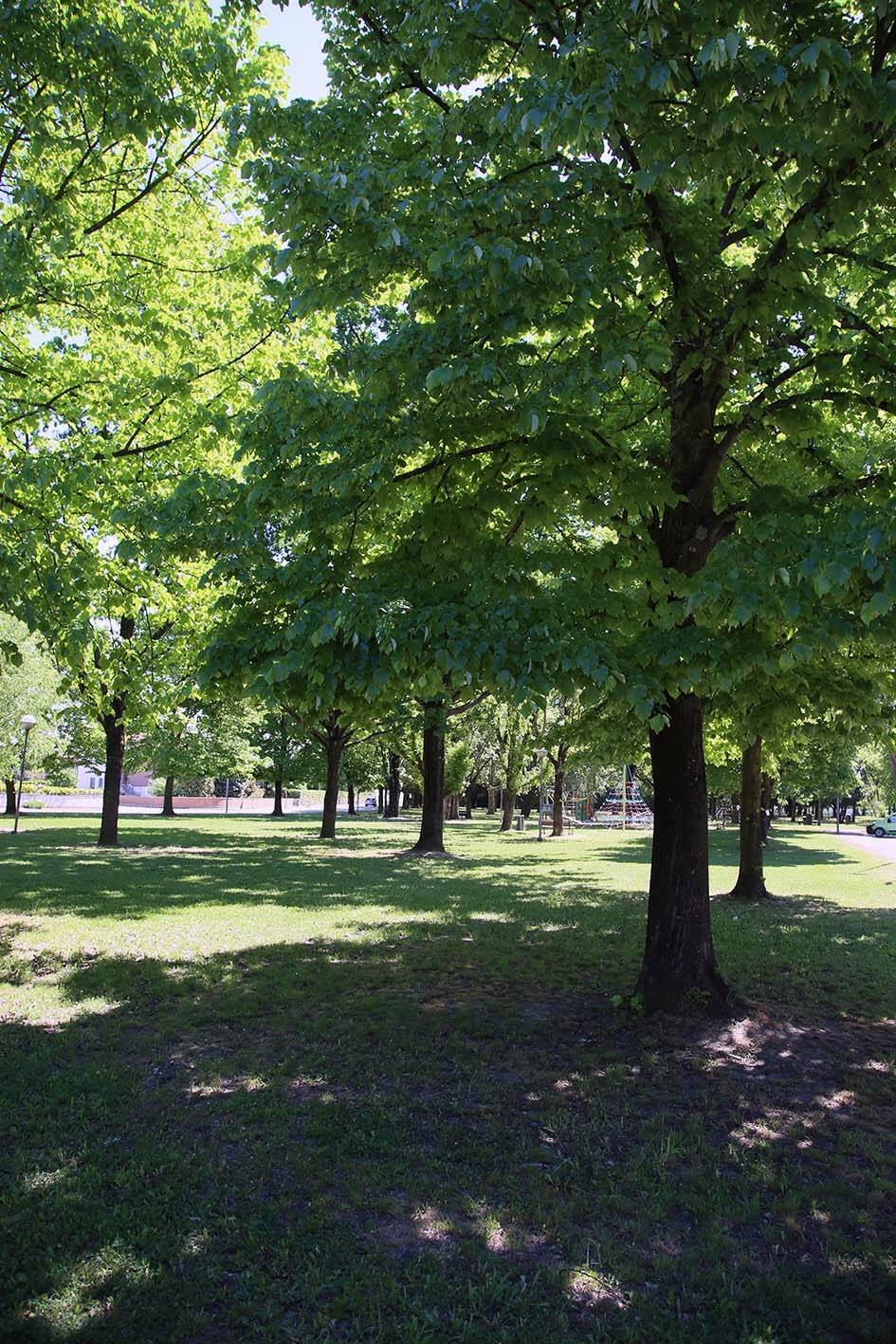 Bagnacavallo giardini e parchi