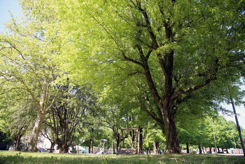 Bagnacavallo giardini e parchi