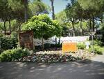 Cervia Città Giardino: l'aiuola di Bagnacavallo