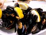 Cozze