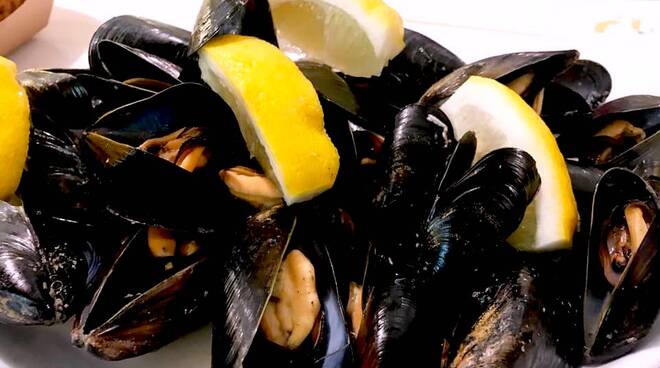 Cozze