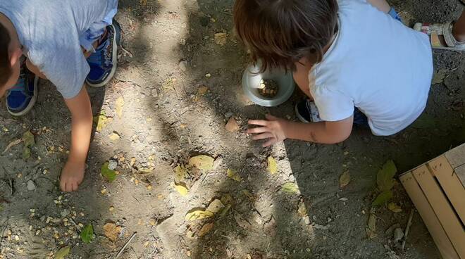 giochi all'aperto - bambini - natura