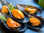 Cozze