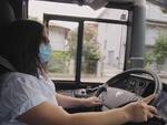 autista, bus, autobus, Start Romagna