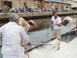 Cervia, tanta gente in fila ordinata per la Rimessa del Sale a Sapore di Sale 2021