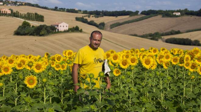 Giorgio Baracani, presidente degli Apicoltori Felsinei