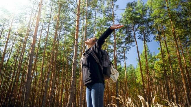 Forest bathing - natura - bosco - alberi - respirare 