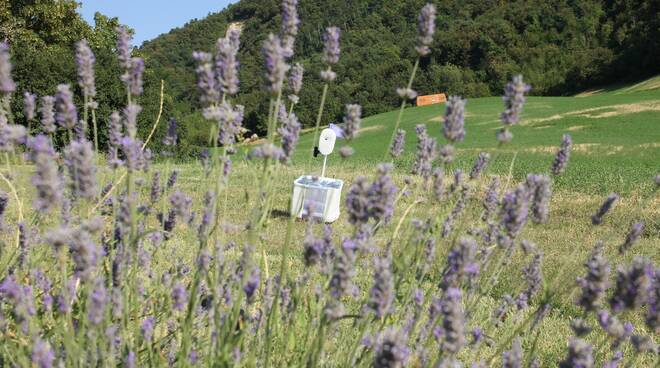 robot biodiversità 