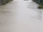 Emergenza a Riccione: chiusi sottopasso del porto e ponte di viale San Lorenzo, acqua alta in via Murano