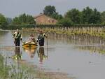 4 maggio 2023. Allagamenti nel comune di Bagnacavallo dopo la rotta del Lamone