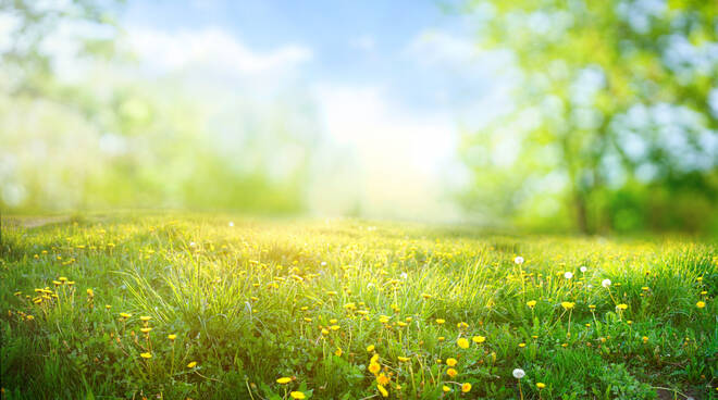 meteo sole primavera