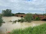 Ponte Nuovo Ravenna 18 maggio