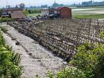 campi danni alluvione cia romagna