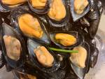 Cozze Selvagge