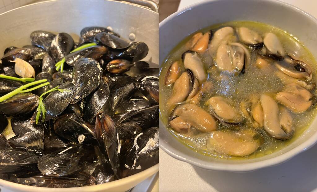 Cozze Selvagge