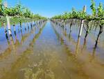 Alluvione Agricoltura