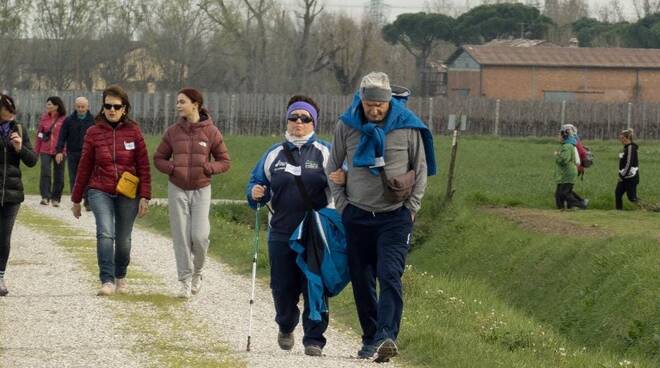 camminata per Elisa Bravi