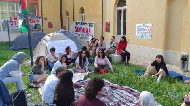 Intifada Studentesca