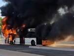 autobus incendio