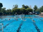 WaterPolo World Festival