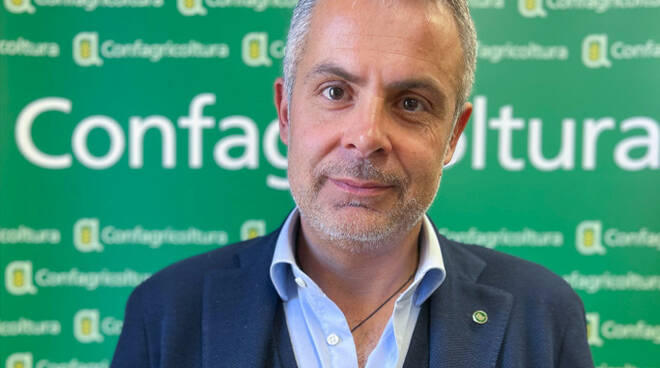 Alberto Mazzoni, vicepresidente di Confagricoltura Forlì-Cesena e Rimini