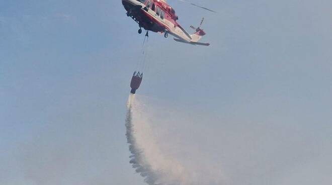 Incendio pineta tra Lido Adriano e Punta Marina - 16/08/2024