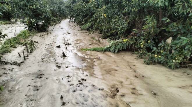 alluvione 2024 castrocaro terme