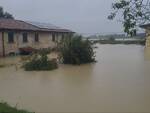 alluvione cotignola settembre 2024