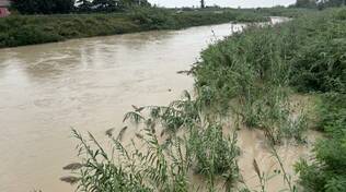 Fiume Montone fra Ragone e San Pancrazio