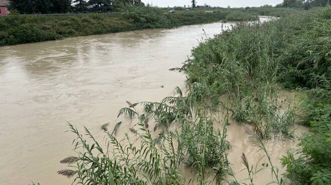 Fiume Montone fra Ragone e San Pancrazio