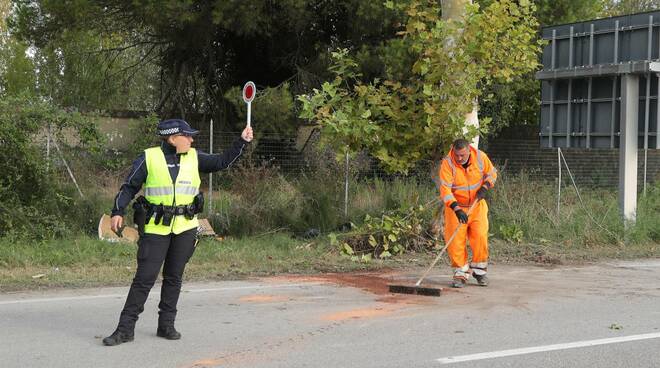 incidente ravenna contro platano_1