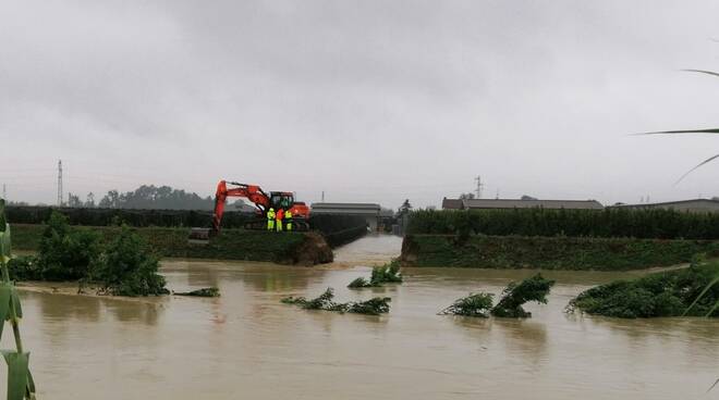 Maltempo alluvione 2024, Coldiretti Forlì-Cesena: campi con un metro di acqua