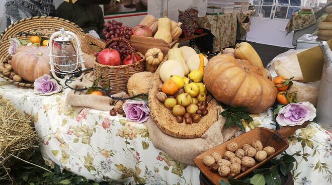 piccola fiera d'autunno roncofreddo